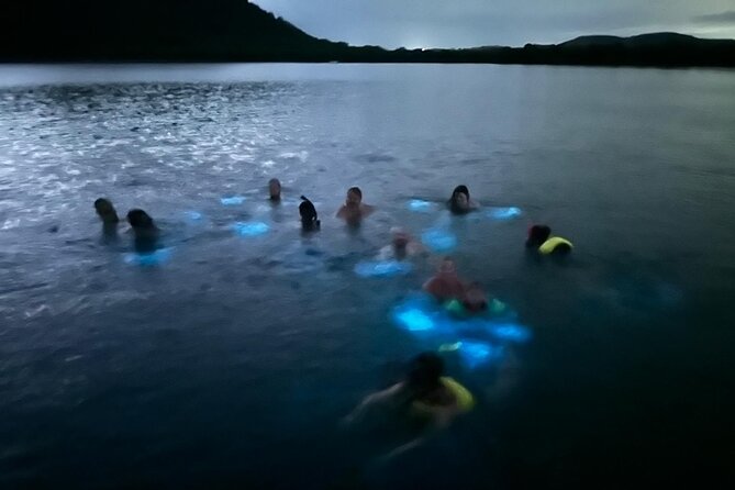 La Parguera Bio Bay Boat Ride and Swimming w/ San Juan Transport - The Dock, The Small Group, And What “Protected Waters” Really Means