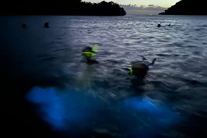 La Parguera Bio Bay Boat Ride and Swimming w/ San Juan Transport - Swimming In The Bioluminescent Bay: How To Make The Most Of Your 20 Minutes