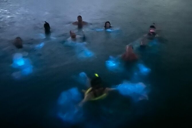 La Parguera Bio Bay Boat Ride and Swimming w/ San Juan Transport - The Guide Experience: Practical Info, Real Personality, And Why It Matters