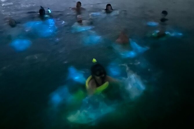 La Parguera Bio Bay Boat Ride and Swimming w/ San Juan Transport - Price and Value: Is $54.99 Worth It?