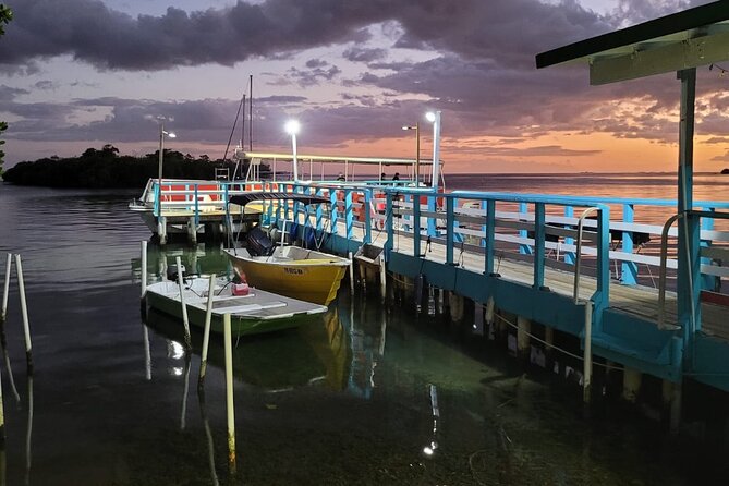 La Parguera Bio Bay Boat Ride and Swimming w/ San Juan Transport - Weather, Moon, And Your Best Night: How To Choose The Right Time