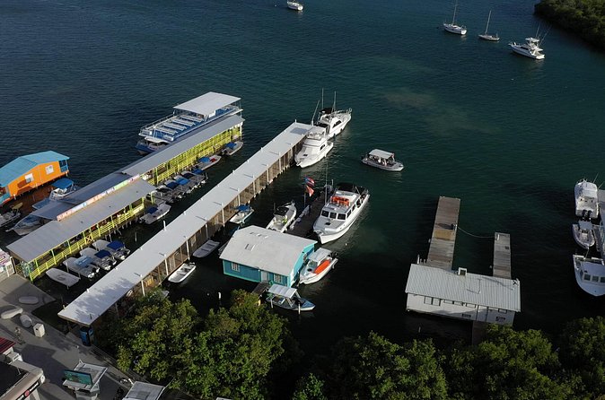 La Parguera Glowing Bioluminescent Bay Boat Tour from San Juan - Who should book, and who might not love it