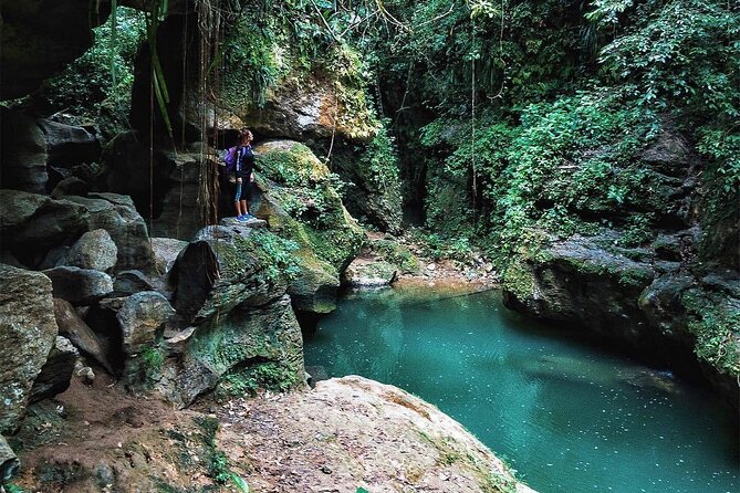 Lagoon Cave and Secluded Beaches Tour in Puerto Rico - How guides shape the day, with real examples from the field