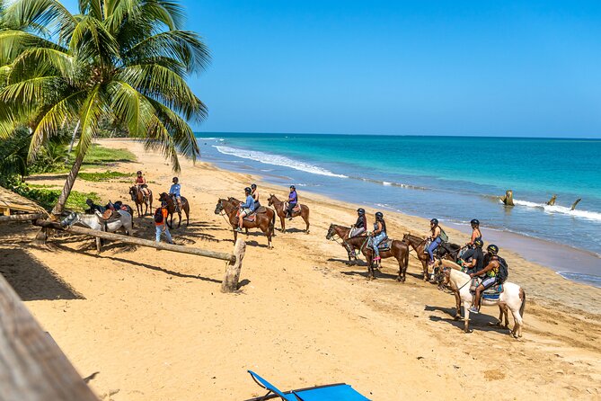 Luquillo Beach Horse Ride from Carabalí Rainforest Adventure Park - Carabali Rainforest Adventure Park to El Yunque foothills
