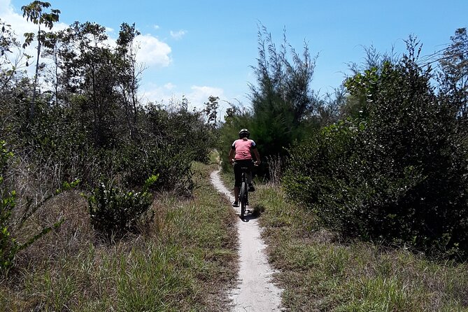 Mountain Bike tour to a Pristine Spring and Cave - What you will do on the coastal forest trail
