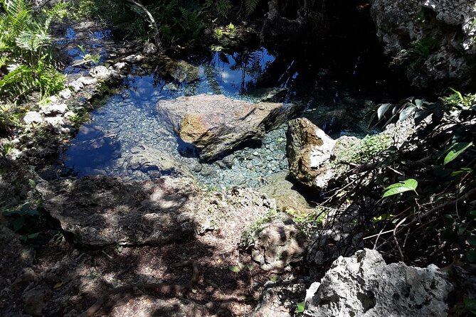 Mountain Bike tour to a Pristine Spring and Cave - The spring stop: swimming plus a real break from the pedals