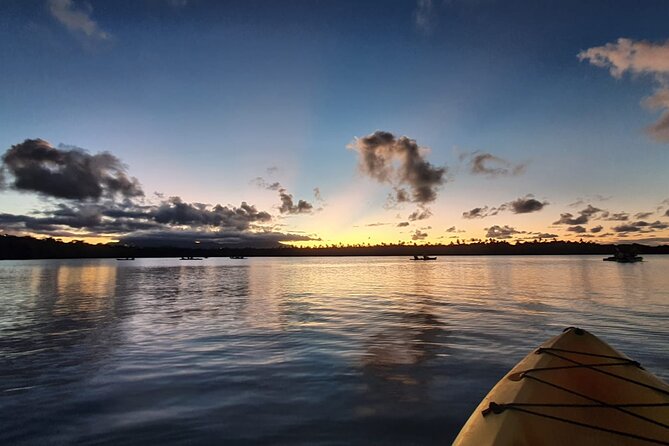 Night Kayaking Experience on Bioluminescent Lagoon in Fajardo - The Bioluminescent Glow Phase: How to Get Better Light on the Water