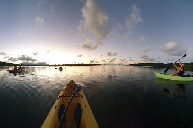 Night Kayaking Experience on Bioluminescent Lagoon in Fajardo - Mangroves, Eco-Commentary, and Why the Guide Matters