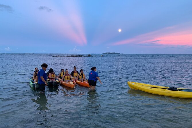Night Kayaking Experience on Bioluminescent Lagoon in Fajardo - Price and Value at $79: What You’re Paying For