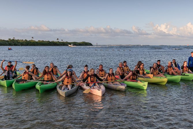 Night Kayaking Experience on Bioluminescent Lagoon in Fajardo - What to Bring (Mosquitos and Phones) for a Smoother Night