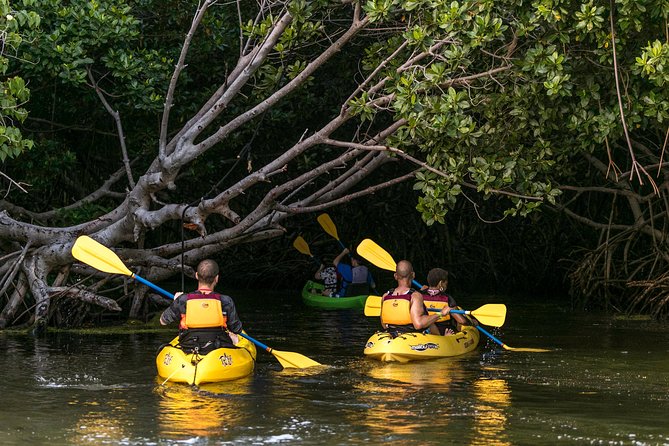 Night Kayaking Experience on Bioluminescent Lagoon in Fajardo - Kayak Basics at Night: What Kayaking 101 Really Means for Beginners