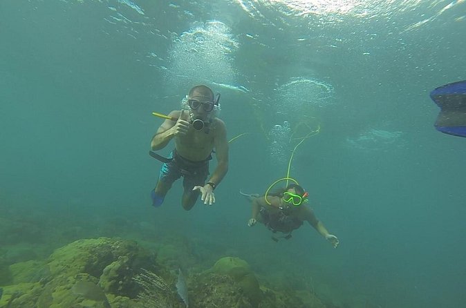 OCTOPUS DIVING (hookah diving) NO Experience Needed - A hookah air swim that feels like snorkeling, with more reach