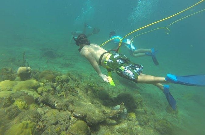 OCTOPUS DIVING (hookah diving) NO Experience Needed - Off Steps Beach: your guided reef swim with air from the surface