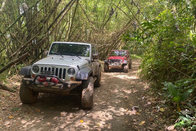 Off-Road Jeep Adventure from Carolina - Key points at a glance