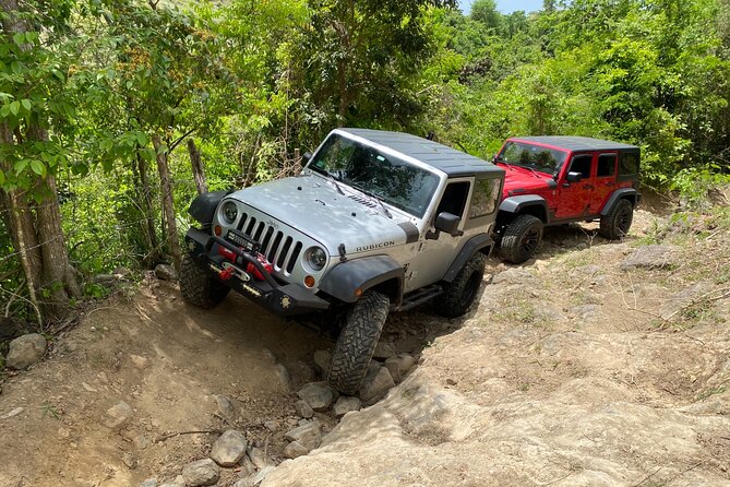 Off-Road Jeep Adventure from Carolina - Private Yet Not Too Small: What Small-Group Limits Feel Like in Practice