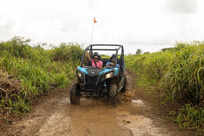 Off-Road UTV Tour : Explore Puerto Rico minutes from San Juan - Value check: what $128.50 buys you, and when it feels like a steal
