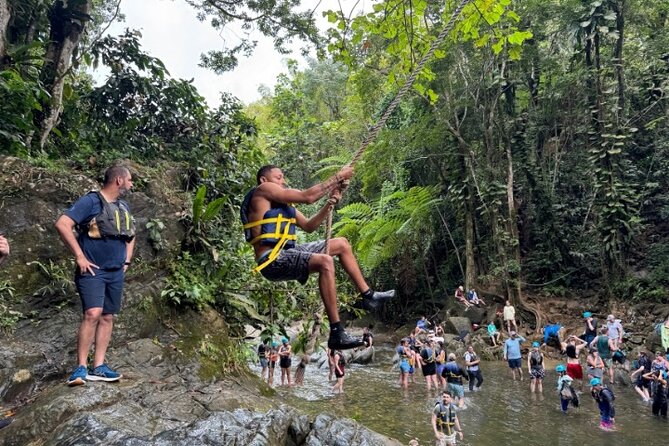 "Off the beaten path" Rain Forest Guided hike with Transportation - Key things I’d pin on your planning checklist