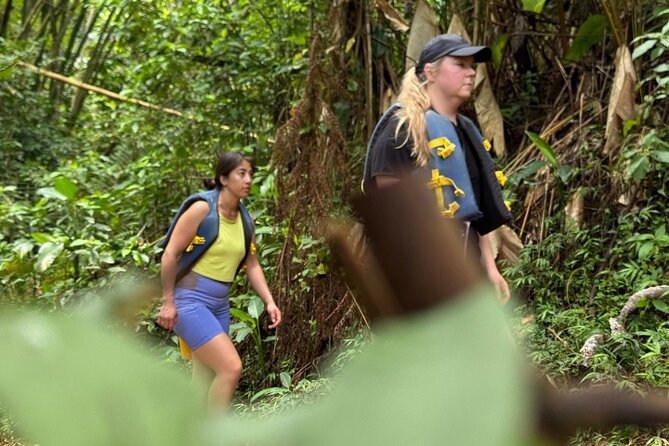 "Off the beaten path" Rain Forest Guided hike with Transportation - Reaching the waterfall collecting pool: where swimming becomes real