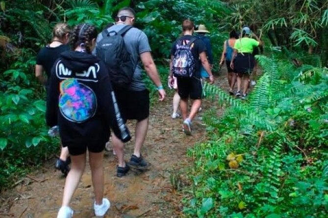 "Off the beaten path" Rain Forest Guided hike with Transportation - Rivers and waterfalls you can actually experience, not just see