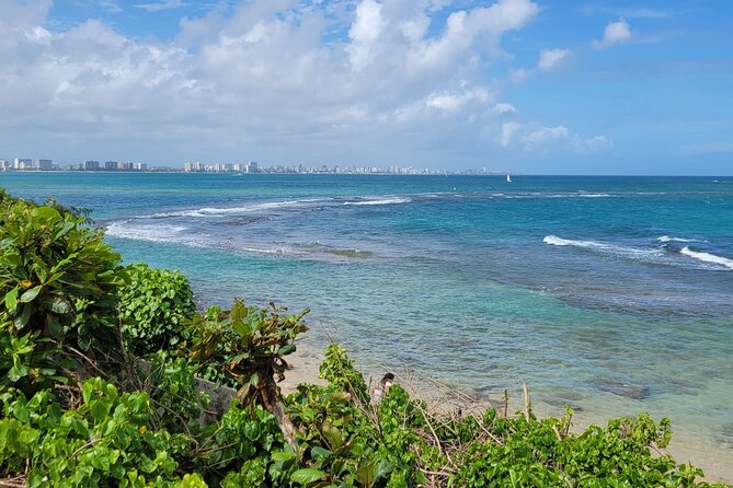 Old San Juan and Piñones Sightseeing Experience! - Price and what you actually get for $120 per person