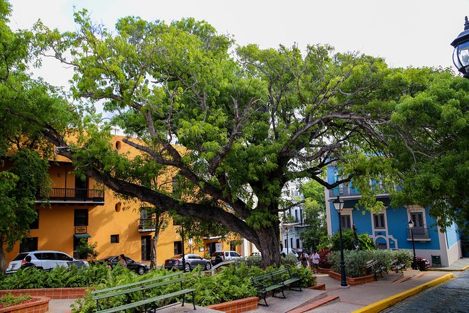 Old San Juan Walking Tour with Fort: 8+ people group - What to Bring for a Comfortable Half-Day in Old San Juan