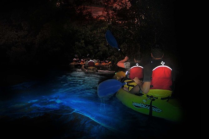 Overnight Bio Bay Kayak Tour in Vieques Island - Vieques After Dark: Why This BioBay Trip Requires an Overnight Stay