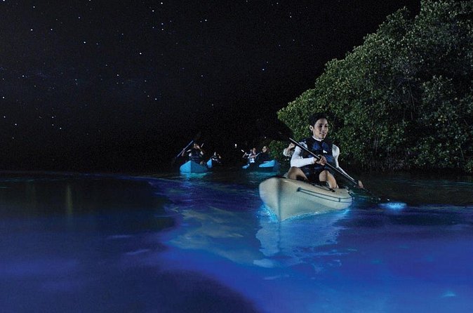Overnight Bio Bay Kayak Tour in Vieques Island - Price and Value: What $65.99 Covers (and What It Does Not)