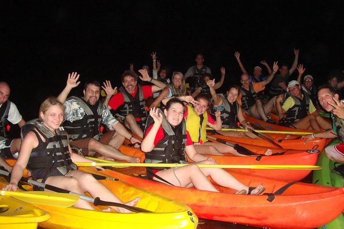 Overnight Bio Bay Kayak Tour in Vieques Island - Full Moon Rules, Moonlight Cancellations, and How Bright to Expect It