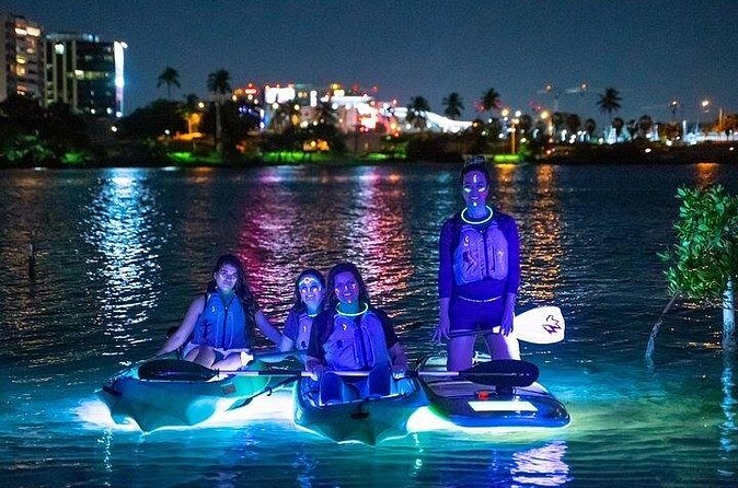 Paddle & Glow LED Kayaking - Price and value, is $105 per person fair for this mix?