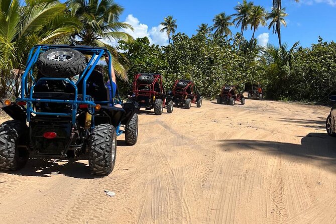 Piñones Beach Buggy + El Yunque Waterfall Adventure - The Celebration Upgrade: When Private All-Inclusive Makes Sense