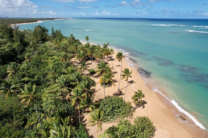 PR Chinchorreo-Beach and Bar Hopping Tour - Key highlights worth choosing this for