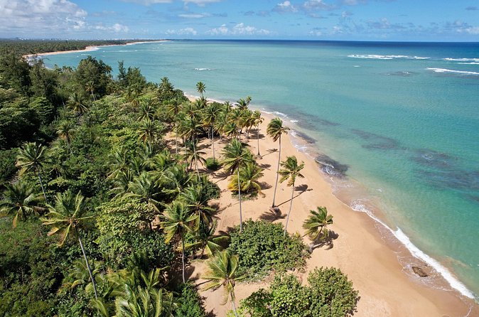 PR Chinchorreo-Beach and Bar Hopping Tour - Your bar-hopping route: Pako Pepe, Maunabo black sand, Patillas, and Humacao