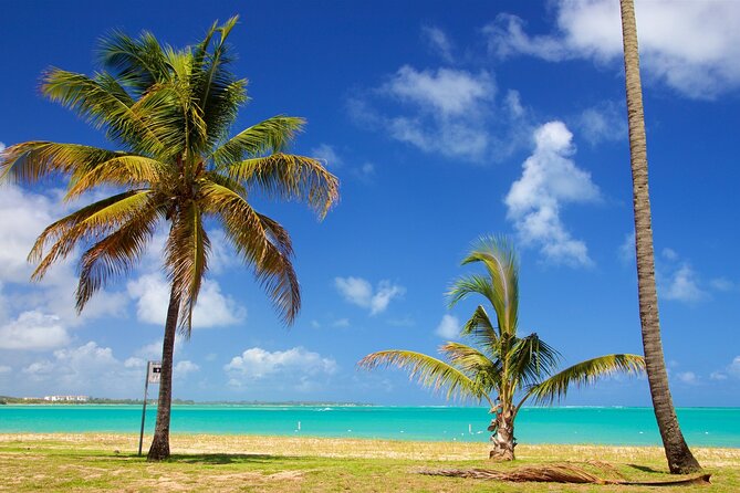 PR Chinchorreo-Beach and Bar Hopping Tour - Guides set the tone: the names that came up and what they did well