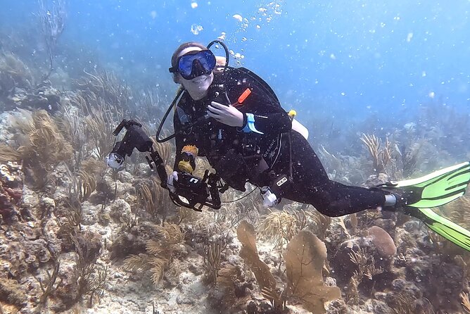 Private 2-Tank Dive with PADI Instructor for Certified Divers - Key points I’d plan around before booking