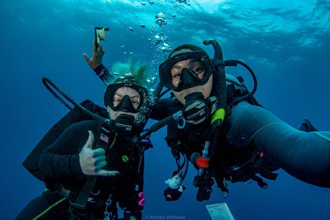 Private 2-Tank Dive with PADI Instructor for Certified Divers - Tank session 1: what you’re aiming to see on the reefs