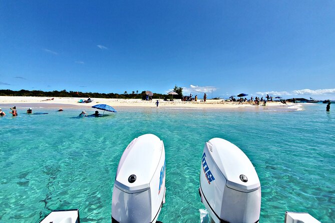 Private All-Inclusive 22ft Boat Guided Snorkeling Icacos Palomino - Key highlights at a glance