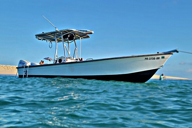 Private All-Inclusive 22ft Boat Guided Snorkeling Icacos Palomino - Small Group, VIP Pace, and Real Help on the Water