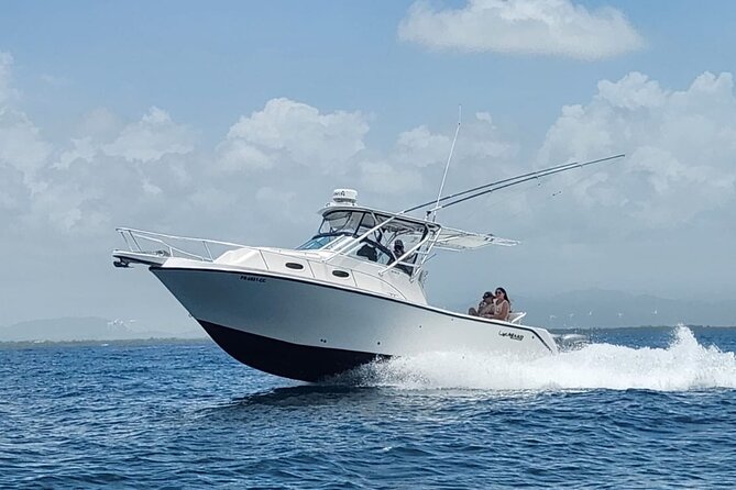 Private All Inclusive East Coast Keys Tour and Snorkel Experience - Palominito Island Quick Stop: Short, Scenic, and Movie-Fun