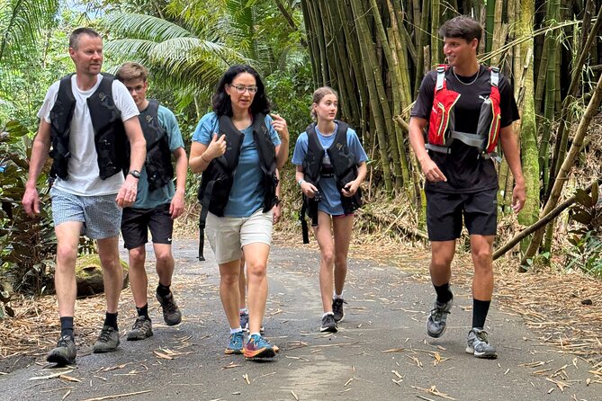 Private El Yunque Half-Day Tour with Transport - Hiking the mud trails: what the 2-hour walk really asks of you