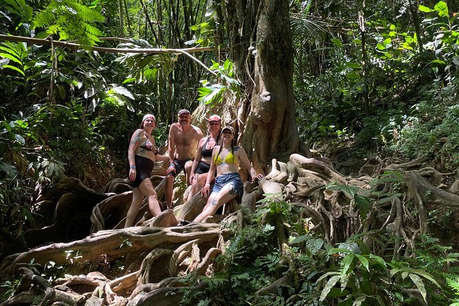 Private El Yunque Rainforest Day Tour with Transport - Private El Yunque: what you really get for $625