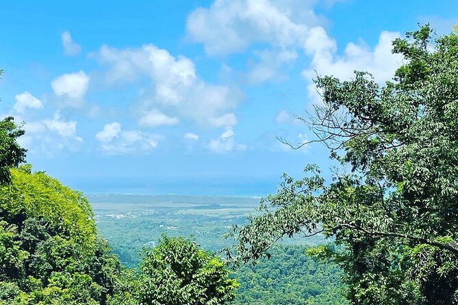 Private El Yunque Tour To Hidden Waterfall Remote Area - Holy Spirit River: three pools, countless waterfalls, and a real payoff