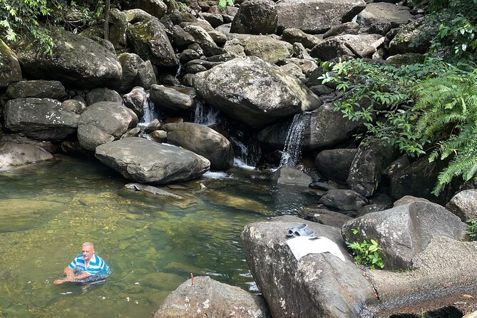 Private El Yunque Tour To Hidden Waterfall Remote Area - The rainforest walk: what El Yunque is like once you are in it