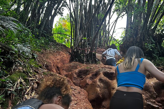 Private El Yunque Tour to Waterslide and Waterfalls - What You Need to Bring, and What the Tour Already Handles