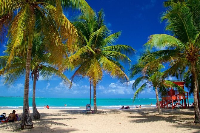 Private El Yunque Waterslides and Luquillo Beach Tour - Why This Private El Yunque and Luquillo Tour Makes Sense From San Juan