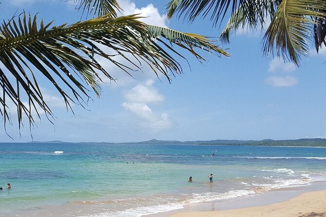 Private El Yunque Waterslides and Luquillo Beach Tour - Timing, Pickup, and What a 4.5 Hour Day Feels Like