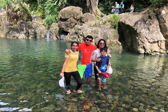 Private Full-Day Secret Hiking Tour to El Yunque Waterfalls - Learning Plants, Flora, and Fauna While You Walk