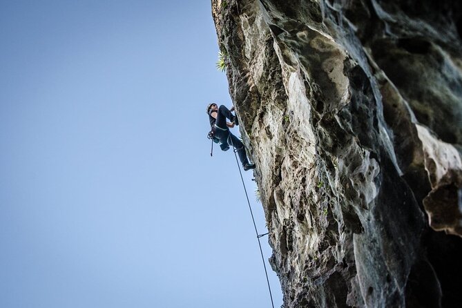 Private Guided Rock Climbing Trips in Puerto Rico - Key highlights you should care about