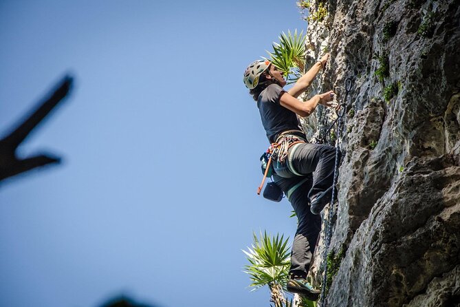 Private Guided Rock Climbing Trips in Puerto Rico - El Mamon Sector at Parque Julio Enrique Monagas: the melted wax wall