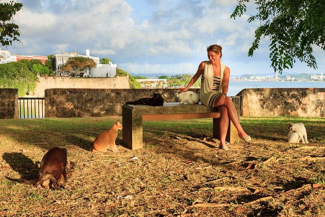 Private Old San Juan Walking Tour - Plaza de Armas: Where your guide sets the city’s storyline