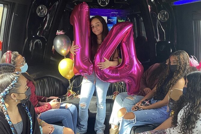 Private Party Bus Tour in Puerto Rico - The Party Bus Setup: What You Really Get on the Ride